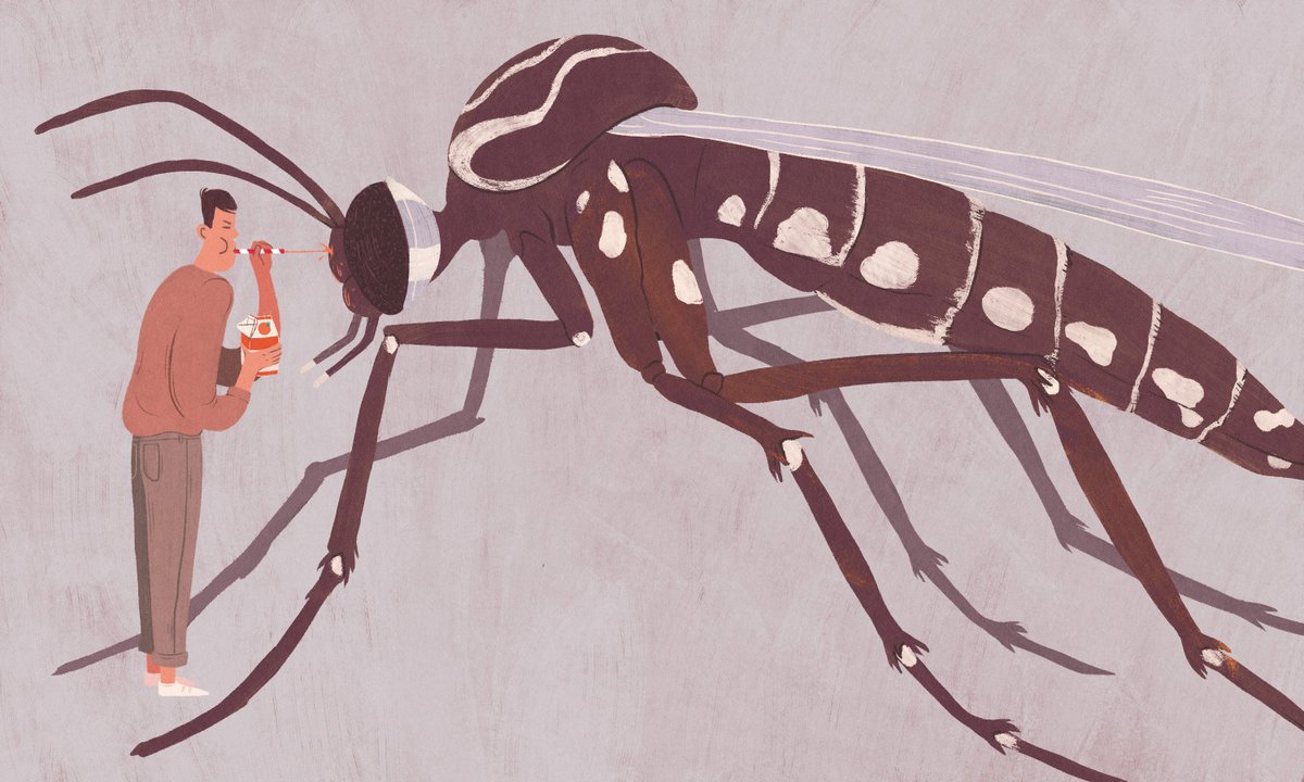 7 natural cures for Zika that are total bullshit trib.al/oTil8TD