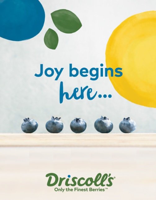 #Sales #Assistant #Berries #jobs #vacature #FMCG #Driscoll's #Breda #customerservice refurl.nl/7abx