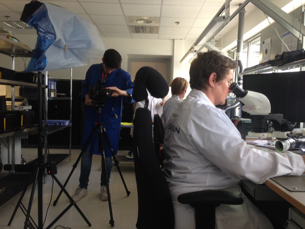 CROP THE BLOCK tweet media