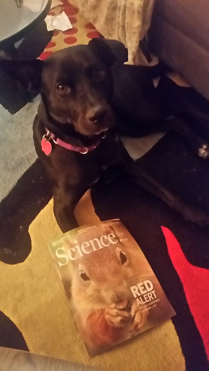 Russia Doglington finally takes interest in what Science has to offer