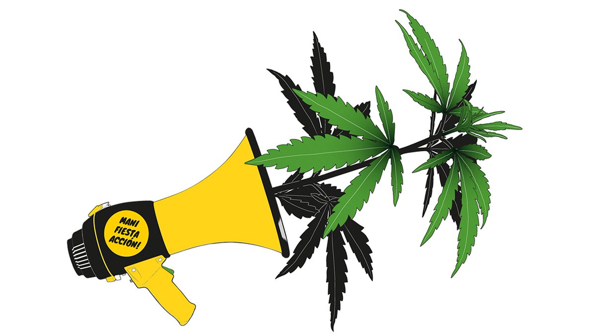 Lamarinellaorg's tweet photo. https://t.co/UZoCa02a5R #MMMM2016
@LIONSITTE @AmecMadrid @SiNoToca @FederacionFAC @Cat_FAC #cañamo #cannabis https://t.co/dpgw5DoS0v