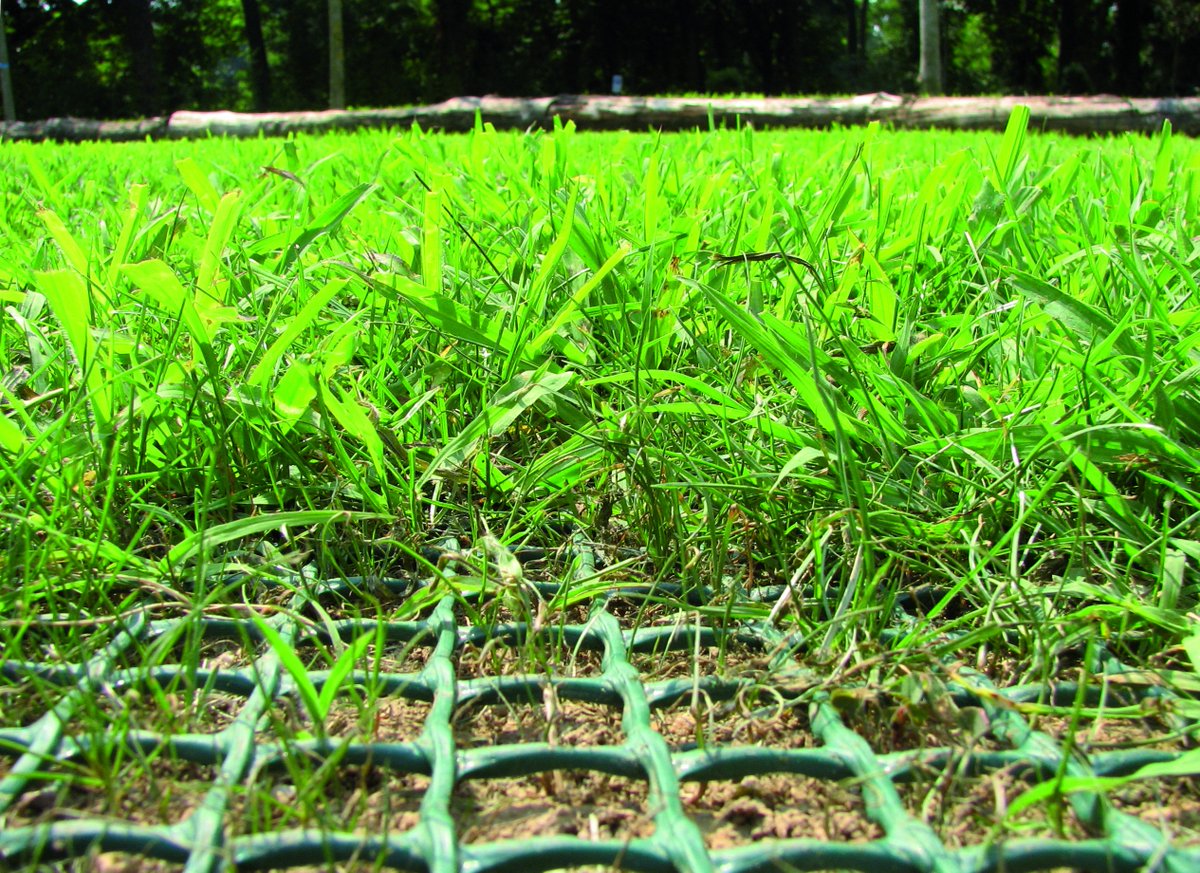 Need help getting your lawn into shape for the summer?  Check out our selection of yard protection products! #lawn