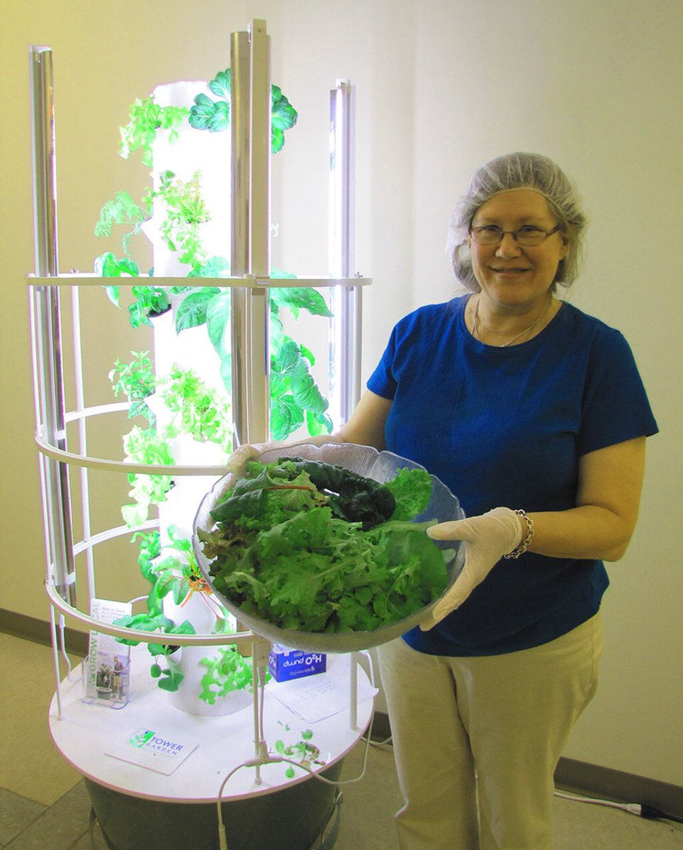 MCPS's tweet photo. DFNS harvests fresh vegetables from our own #towergarden for salad lunch at the office today #ecofriendly #healthy https://t.co/SoegARkQVo