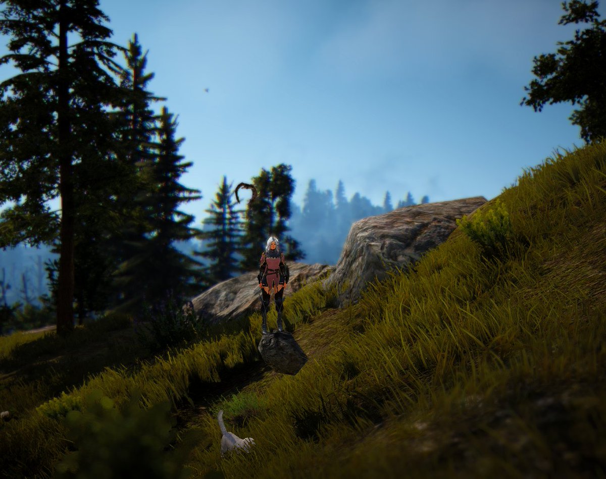 bear_dogs's tweet photo. Notre ami @skyiina nous fait découvrir un beau paysage sur #bdo @BlackDesertFRA @BDO_News https://t.co/k6uPXVNrOx