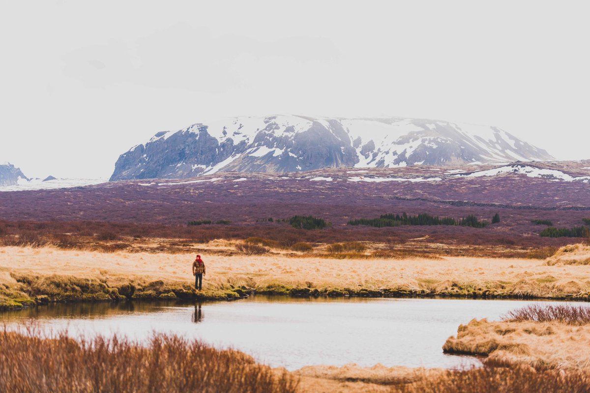 joe_shutter's tweet photo. New blog post exploring the fissures at Thingvellir National Park #iceland #islandia #blogger #nationalpark https://t.co/YTnB8PG1ff