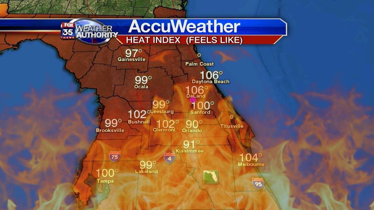 ThingsFloridiansLike tweet media