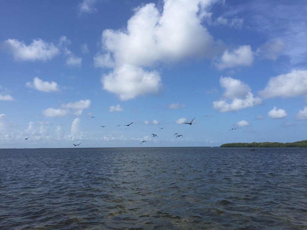 Airboat riding! Yeah #pgavgo!