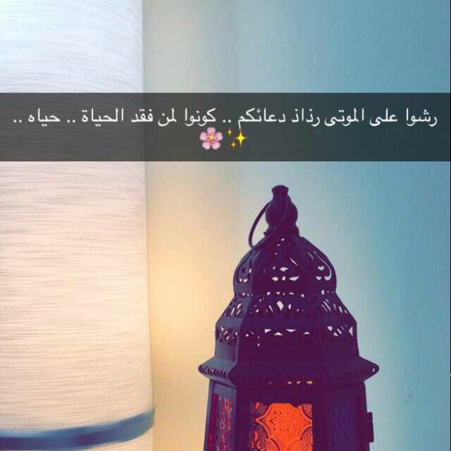 26Danah's tweet photo. https://t.co/MfNedmgJk9