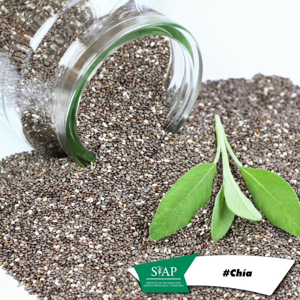DGSIAP_Mx's tweet photo. Las semillas de #chía sonmuy saludables, al contener 2 veces la proteína de cualquier otra #semilla https://t.co/4t8oAiBoil
