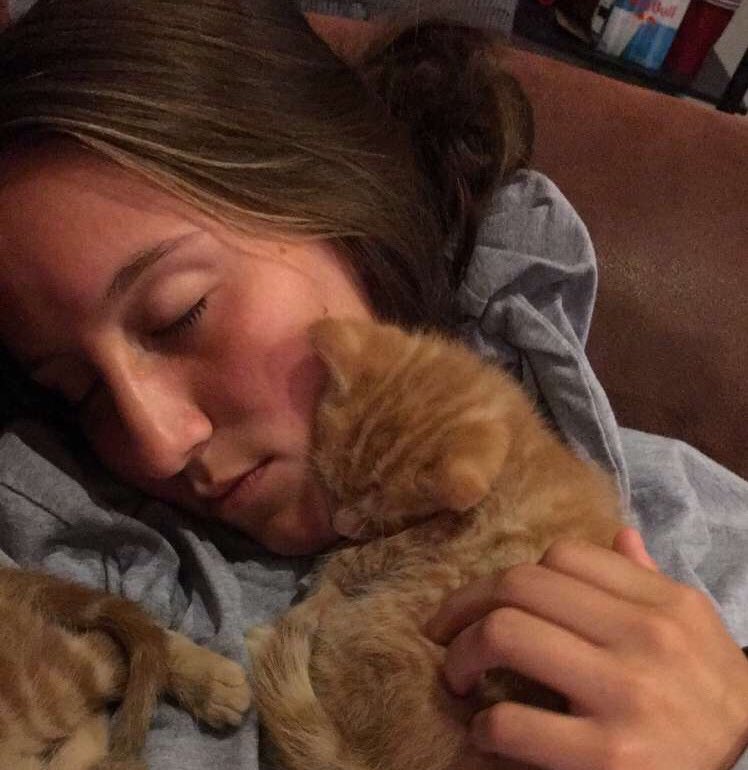toniormond's tweet photo. Time to say goodbye to the first of the kitties...Shere Khan/Whiney...Gonna miss this little guy like crazy 😭😭 https://t.co/0fALeOZhig