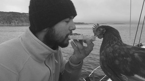 Nauta360's tweet photo. Esta es 'Monique', la gallina que está dando la vuelta al mundo a vela https://t.co/maLdAYOePR https://t.co/CeFcRorMnn