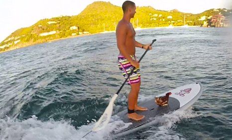 Nauta360's tweet photo. Esta es 'Monique', la gallina que está dando la vuelta al mundo a vela https://t.co/maLdAYOePR https://t.co/CeFcRorMnn