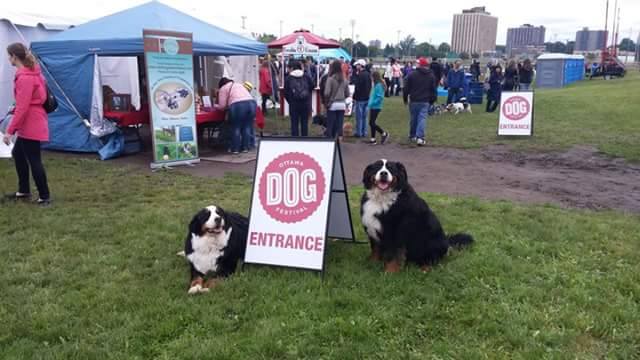 ottawapetexpo's tweet photo. Calls for #TopPetModel and #PetExpoArmy will begin after Labour Day! #OttawaDogs #Ottawa https://t.co/TW68IxCUpi