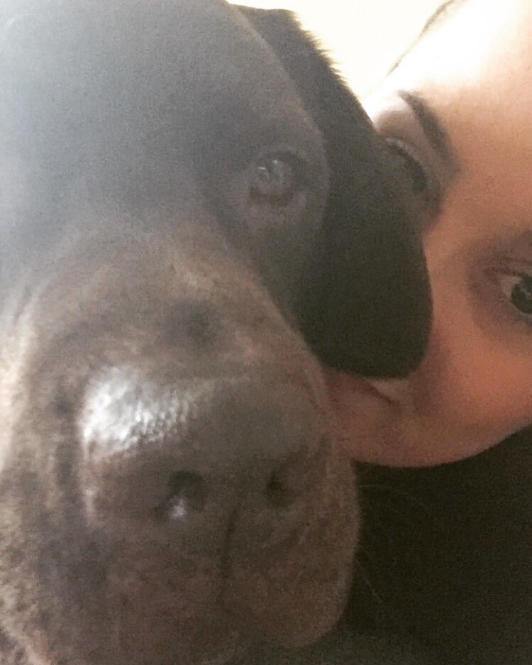 Nichie_21's tweet photo. I absolutely love this boy ❤️ #bestfriends #dogobsessed https://t.co/AUv0ANQ0Ud