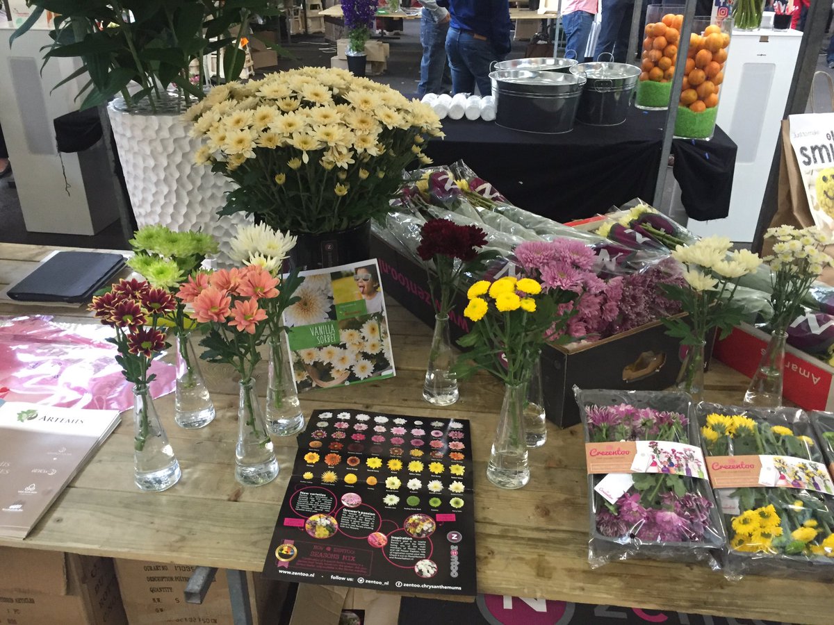 zentoo_nl's tweet photo. Gisteren aanwezig geweest op het Preferred supplier event van @fleurametz_nl! Fantastische connecties #PSEvent https://t.co/cCoH2uIwoR