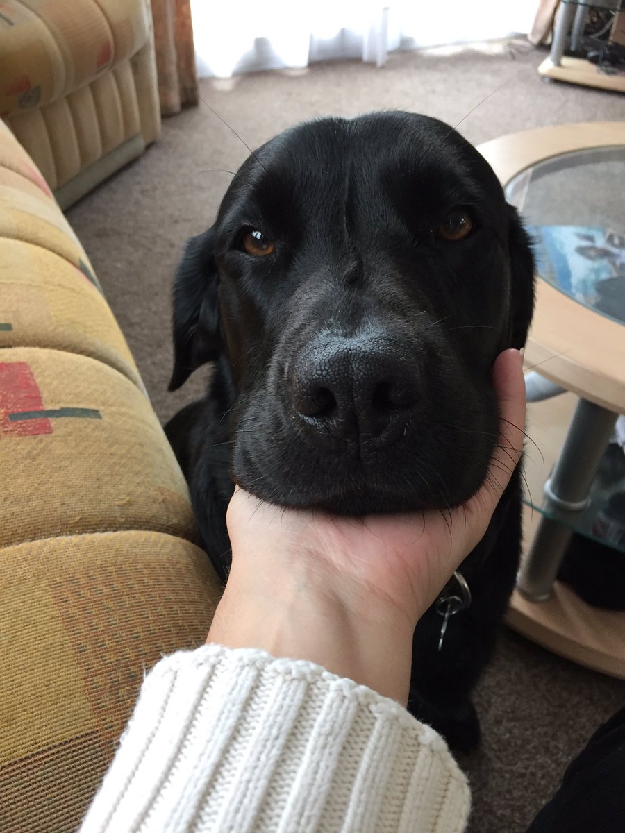 Mum please.....🙊🐶❤️