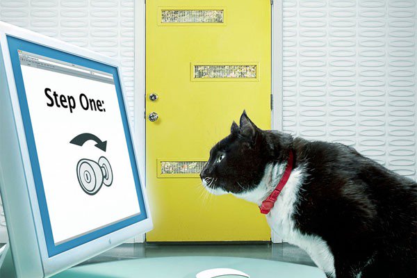 larrykim's tweet image. 💻🔥Never stop learning. READ 👉 21 Places to Learn Skills That Will Change Your Life! medium.com/life-learning/… 🔥👍