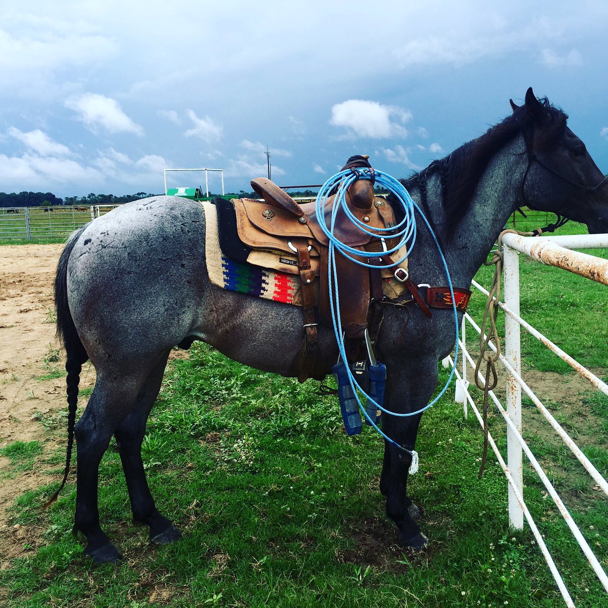 CA_Calloway's tweet photo. My 5 year old ready to rope https://t.co/8UxvVUyqPc