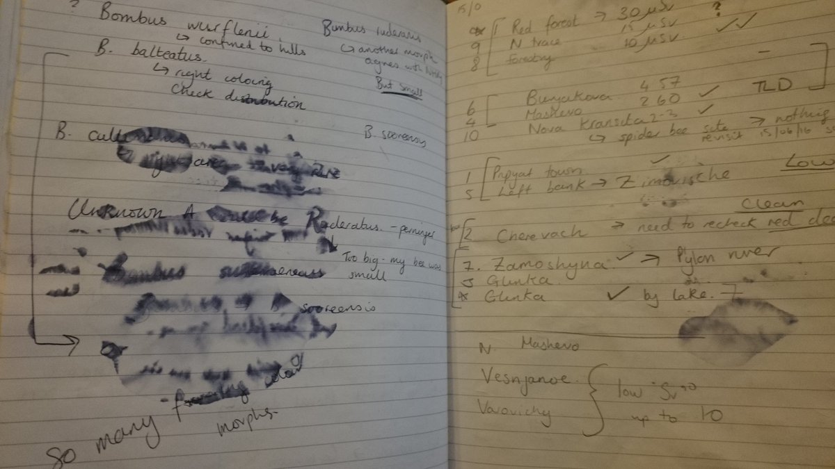 anchorage40's tweet photo. And this boys and girls is why you always write fieldnotes in pencil #fieldworkfail #chernobyldiaries https://t.co/B7HyHdLAs3