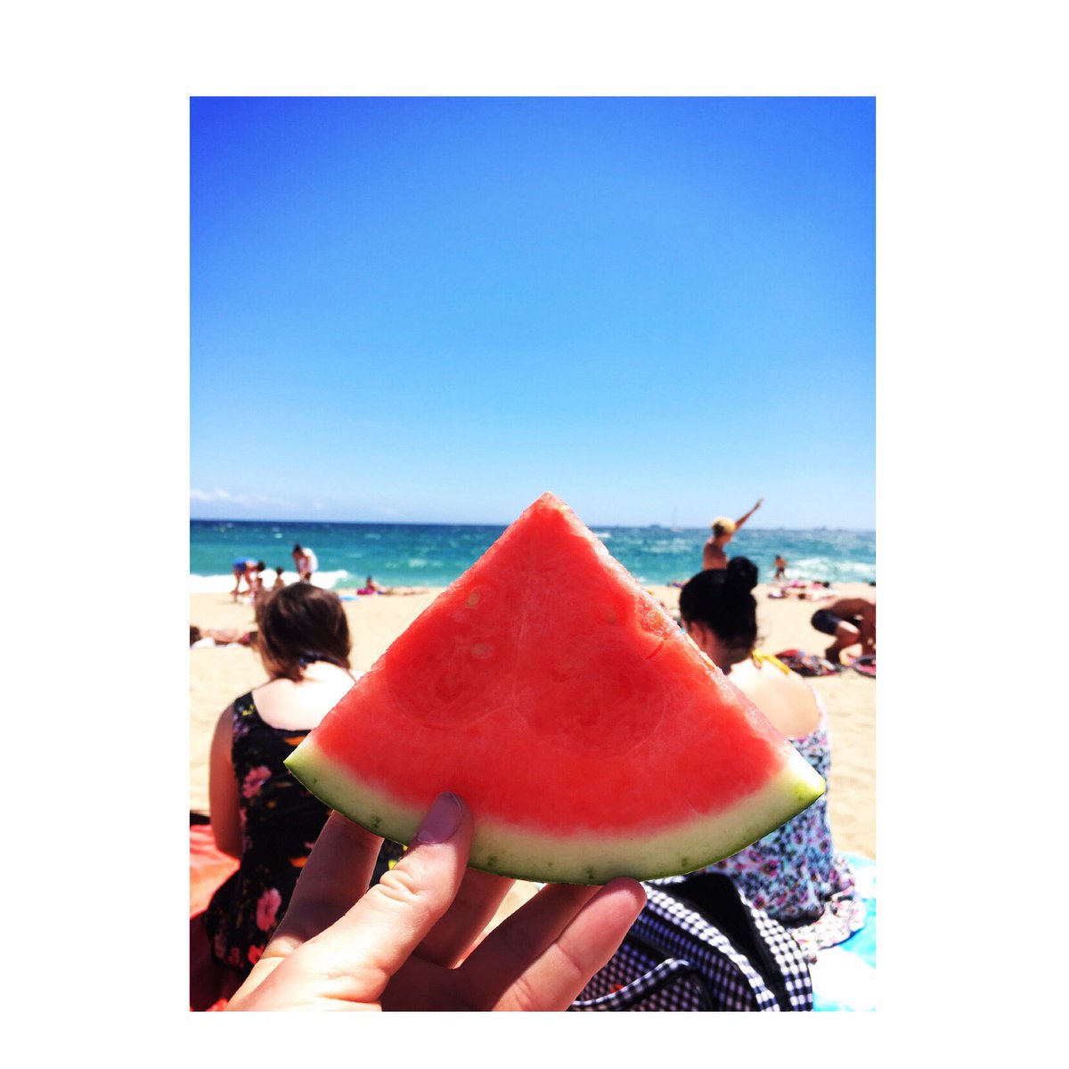 CatriceCavalari's tweet photo. watermelonchill 🌴🍉 https://t.co/NSKN4b9oId