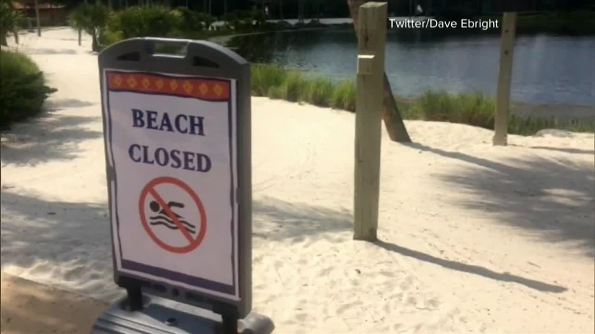 #Disney to review its signage by lakes after boy fatally attacked by alligator bit.ly/1rstgAS?utm_me… https://t.co/lhCKIJcVEq