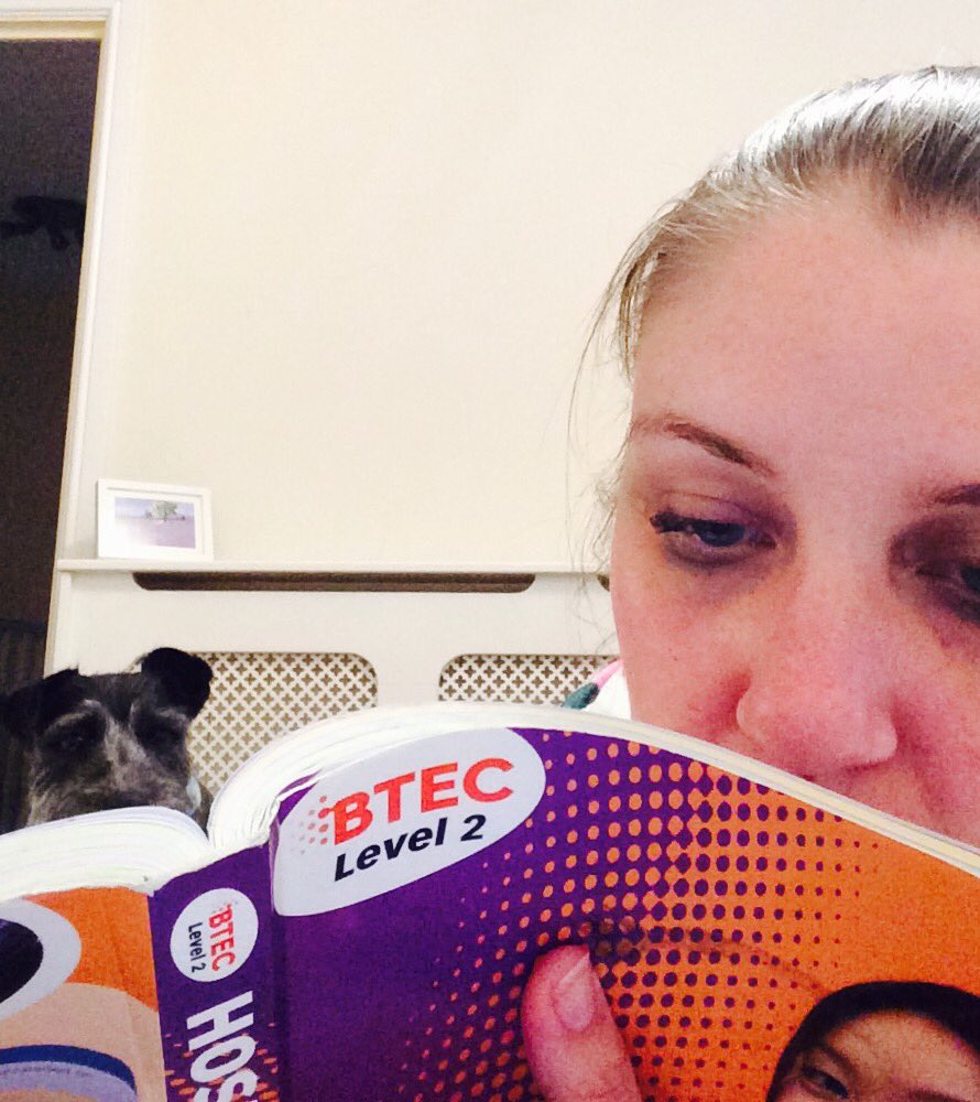 Food_ASFA's tweet photo. 'Strange places to read' you asked for Miss Black,well in this case the strangest thing you see reading.@AsfaEnglish https://t.co/qBC0xYWDpO