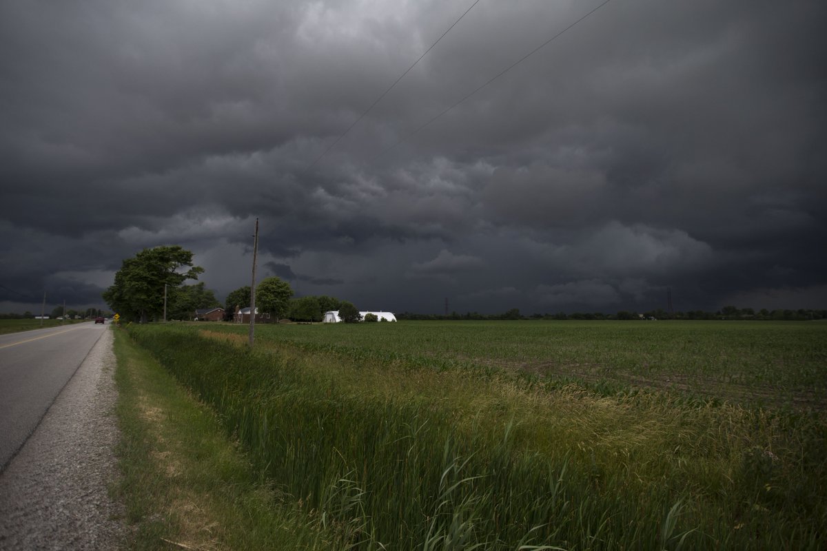 𝗗𝗮𝘅 𝗠𝗲𝗹𝗺𝗲𝗿 tweet media