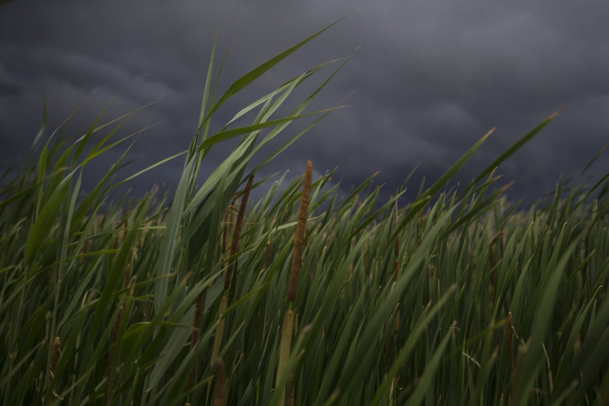 𝗗𝗮𝘅 𝗠𝗲𝗹𝗺𝗲𝗿 tweet media