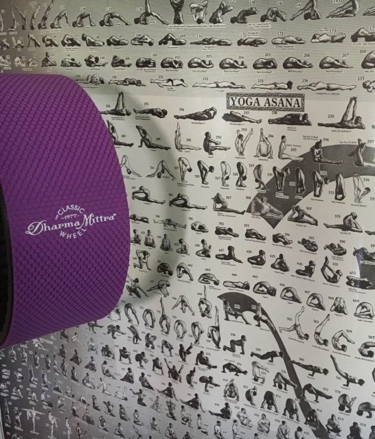dharma mittra yoga wheel