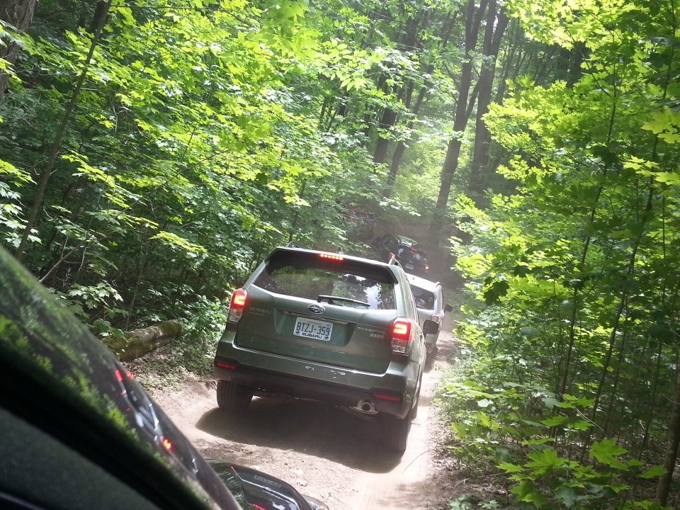 MeteshLad's tweet photo. #FORESTER2017 https://t.co/WQw0V4L8wt