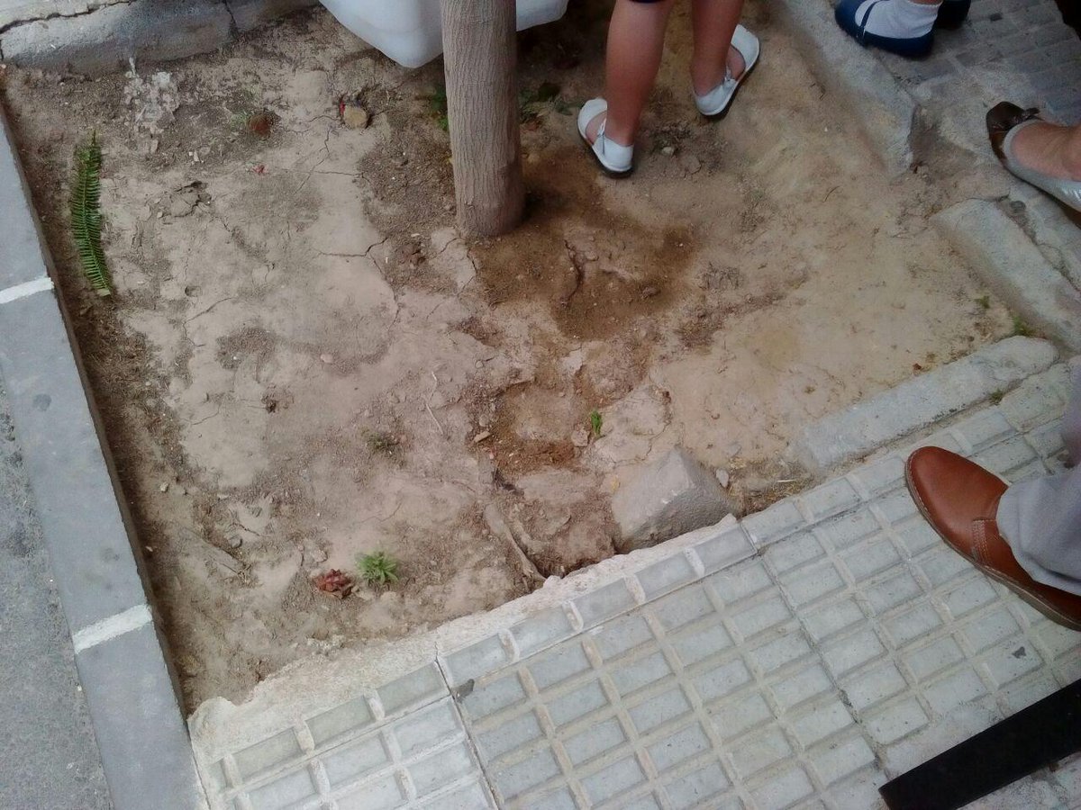 AhoraAljucer's tweet photo. En el pleno del pasado 31 de mayo rogamos el relleno de alcorques peligrosos en Calle Mayor #Aljucer @Ppguillenparra https://t.co/13jkC0KKCH