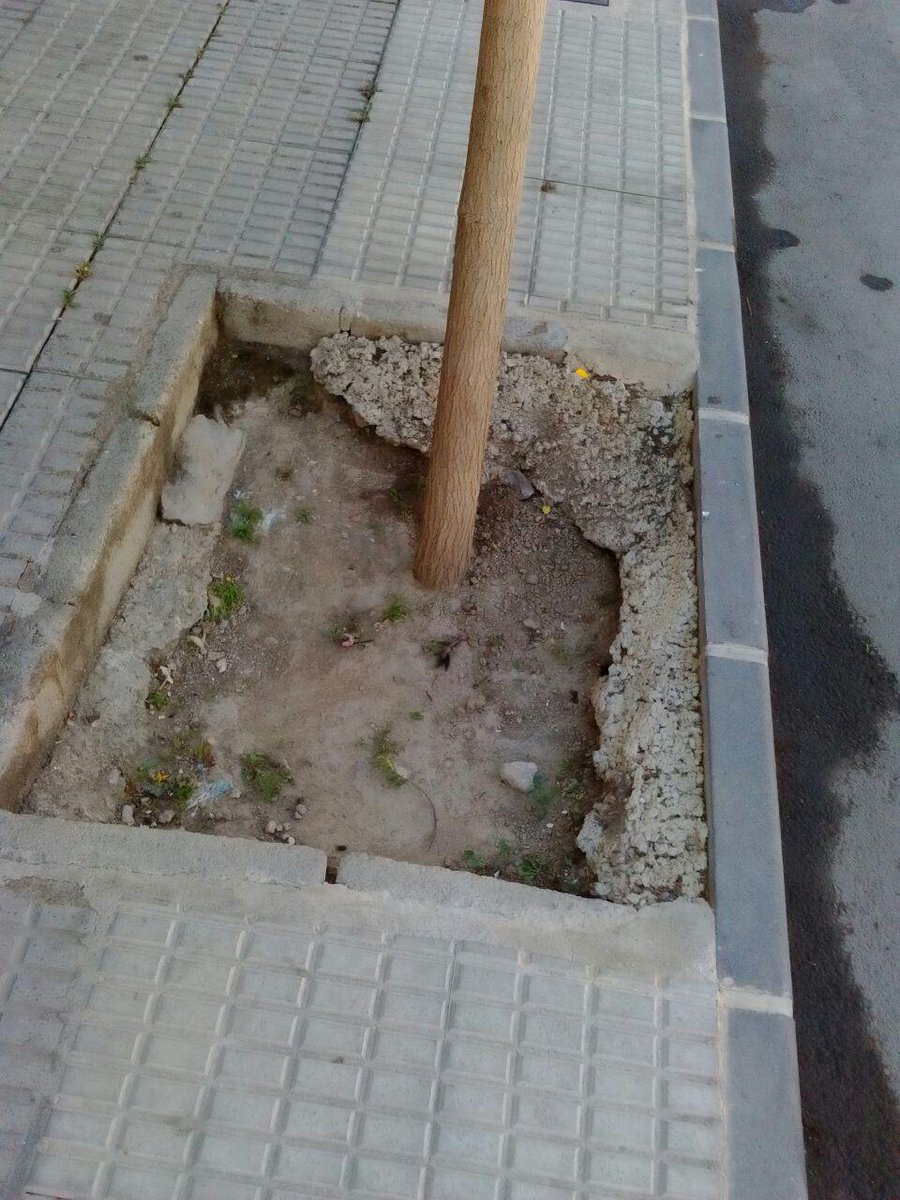 AhoraAljucer's tweet photo. En el pleno del pasado 31 de mayo rogamos el relleno de alcorques peligrosos en Calle Mayor #Aljucer @Ppguillenparra https://t.co/13jkC0KKCH
