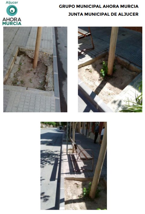 AhoraAljucer's tweet photo. En el pleno del pasado 31 de mayo rogamos el relleno de alcorques peligrosos en Calle Mayor #Aljucer @Ppguillenparra https://t.co/13jkC0KKCH
