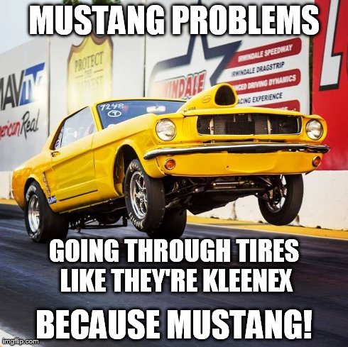 BecauseMustang's tweet image. #MustangProblems are real! #BecauseMustang