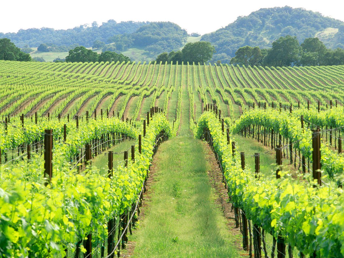 justfly on twitter check out our crazy prices to napavalley
