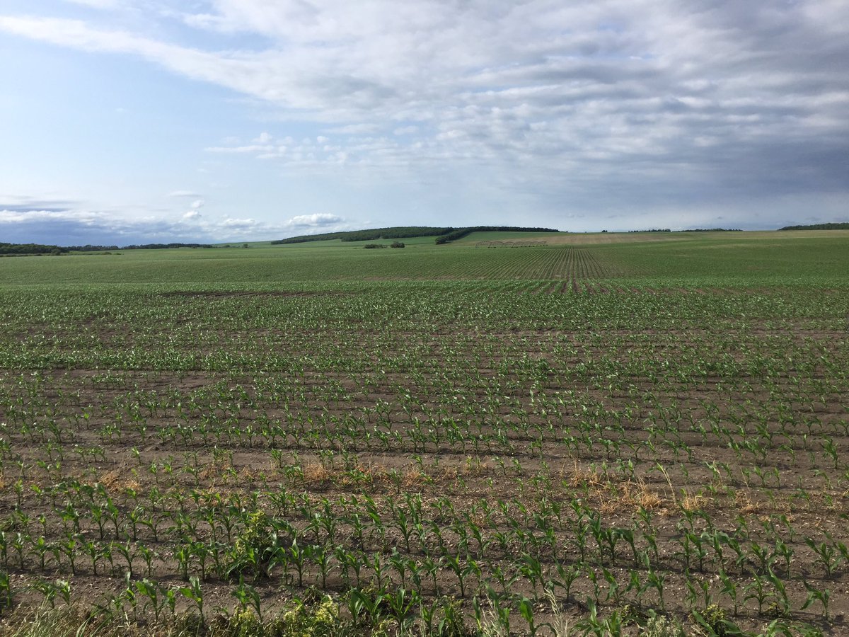 RoncerayDan's tweet photo. @andrew_devloo @RussellJonk #p7211 #p7202 looking great near swan lake! https://t.co/4E7RHt3Oyn