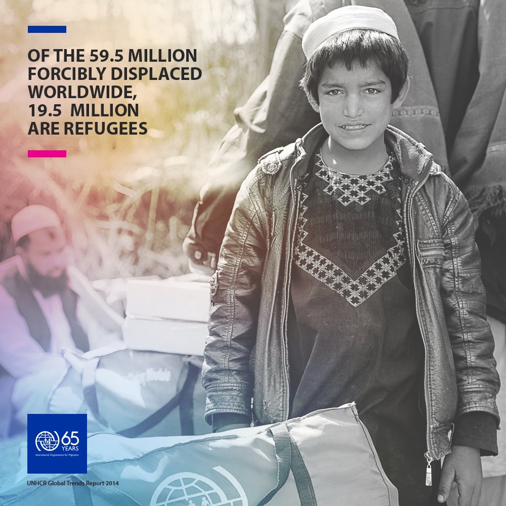 IOM United States tweet media