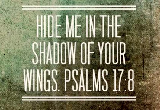 CheerChristians's tweet photo. #ReadingBreak: open your Bible to Psalm 17:8. https://t.co/WGZtXO42ZF