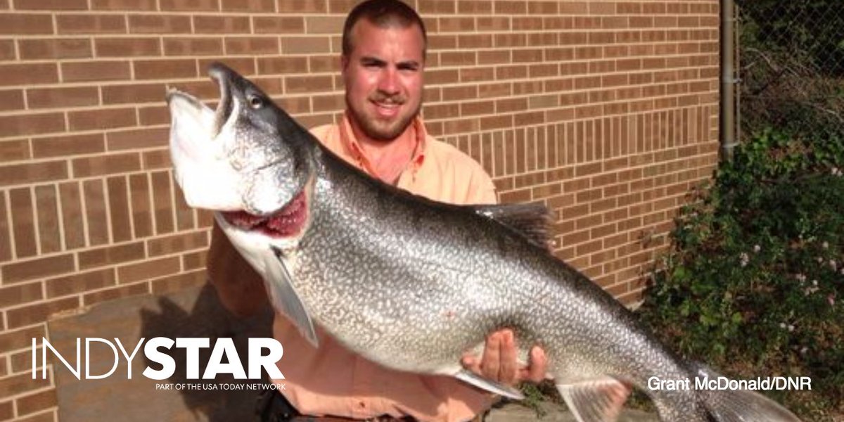 indystar's tweet photo. That's one big fish. The biggest lake trout caught in Indiana history, in fact. https://t.co/tglBTYxKgm https://t.co/pW2BRIAE6a