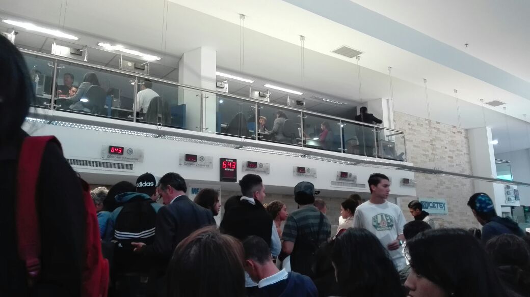 Caro Luna tweet media