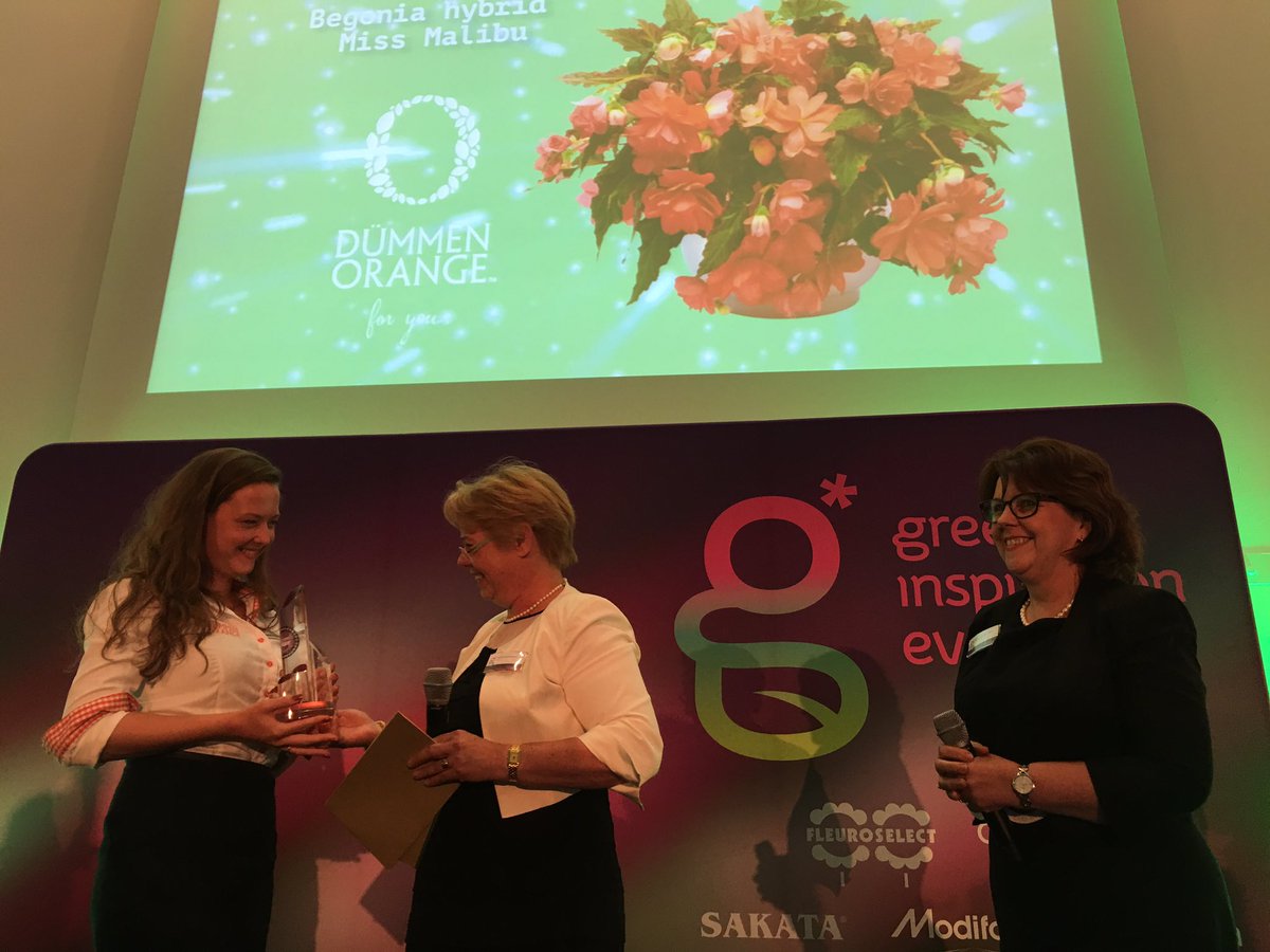 BREAKING: winner Fleuroselect #FleuroStar 16/17 Begonia Miss Malibu from Dümmen Orange 🍾 <a href="/green_insp/">Green Inspiration</a>