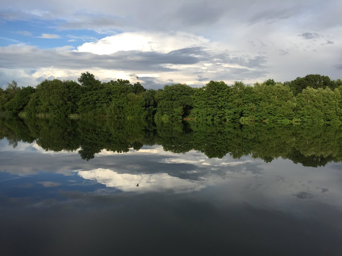 OutdoorGal's tweet photo. Evening reflections. The calm after the storm. #Reflections #escapeoutside #outdoortherapy https://t.co/dMgLVtmxe1