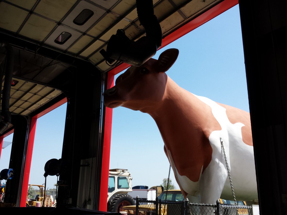 Yes folks...Nebraska Truck Center even caters to cows!