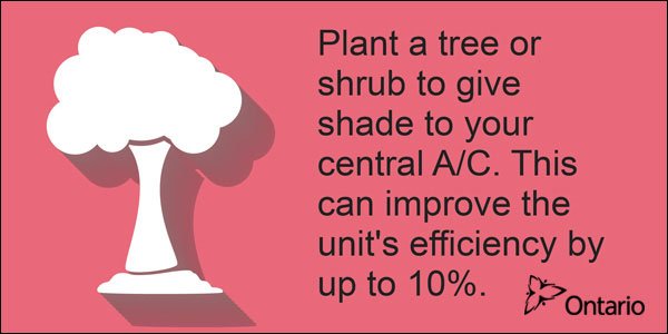 Plant a tree or shrub to give shade to your central A/C. This can improve the unit’s efficiency by up to 10%