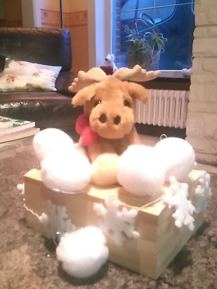CnuddeFlorian's tweet photo. Rudolf de red nose reindeer #marathonradio https://t.co/QynOoQQxvH