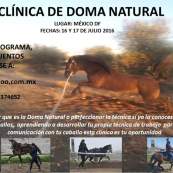 mecuestre's tweet photo. Clínica de #DomaNatural, Ciudad de México, 16-17 jun. #etología #equina. https://t.co/14BBSJ244f https://t.co/Y8PWqMFSgY
