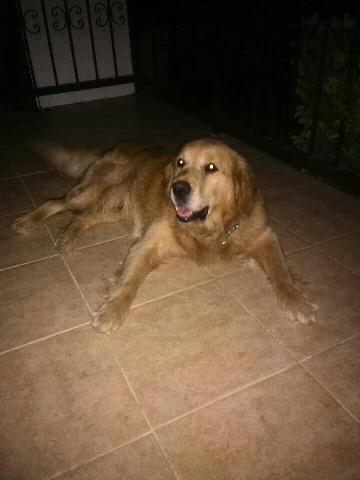 azmi_van's tweet photo. Rüzgarla oh hava mis :) (@ Yaylagülü Malikhanesi in İzmir) https://t.co/jCkI3bpJbN https://t.co/S0AsdJ5gZW