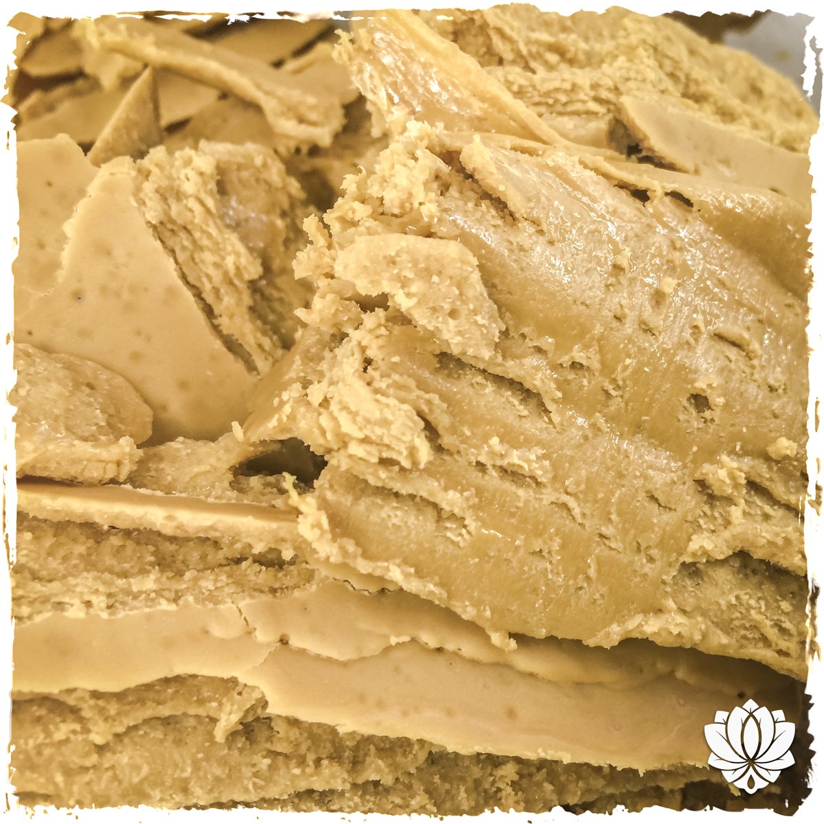 Blueberry Cake Icing so sweet and good! #terps #crumble #i502 #cannabis #nugrun