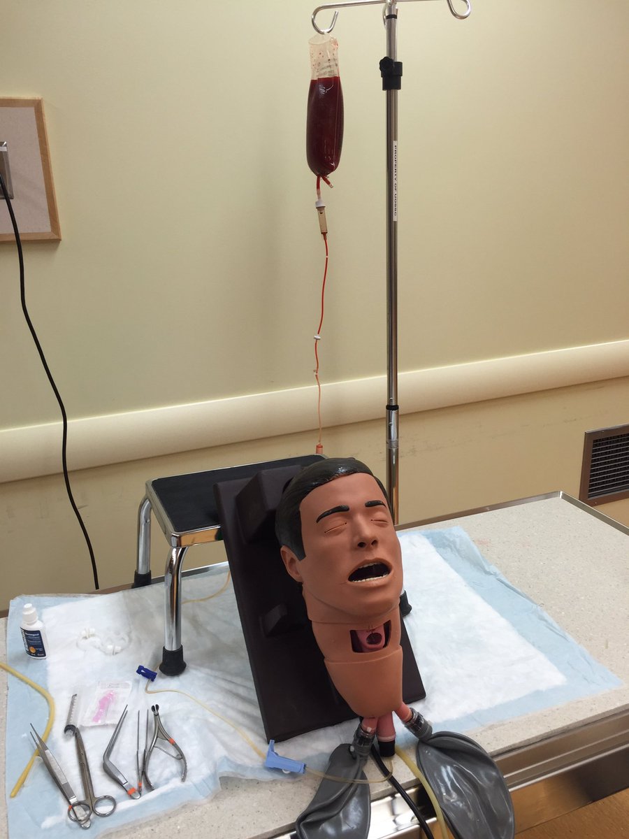 DizzyDrTse's tweet photo. Epistaxis simulator working hard at SEAD 2016 @OttawaHospital @uOttawa https://t.co/LIXv7WxlWC