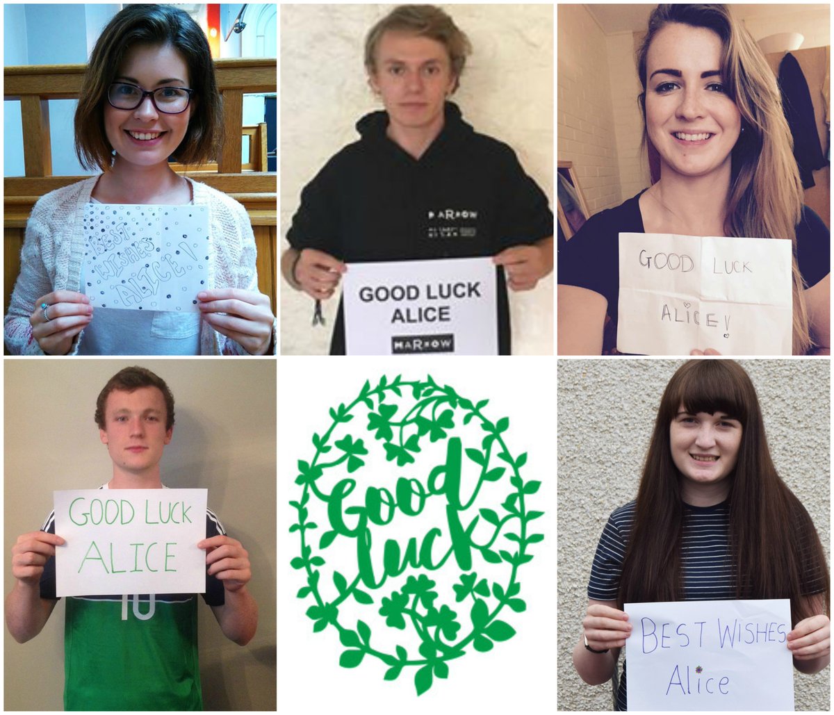 <a href="/alice_byron/">alice byron</a> Happy Day Zero! Fingers crossed for a very successful transplant 💜